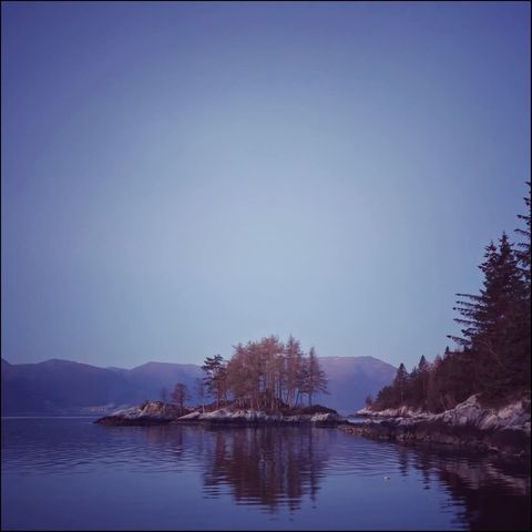 Wærholmen photo 5