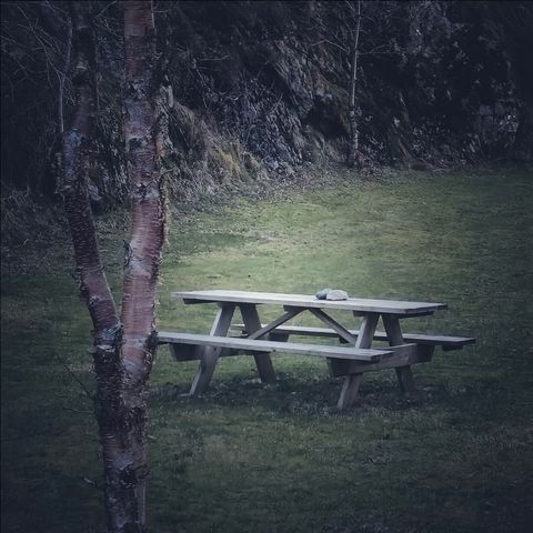 Wærholmen photo 4