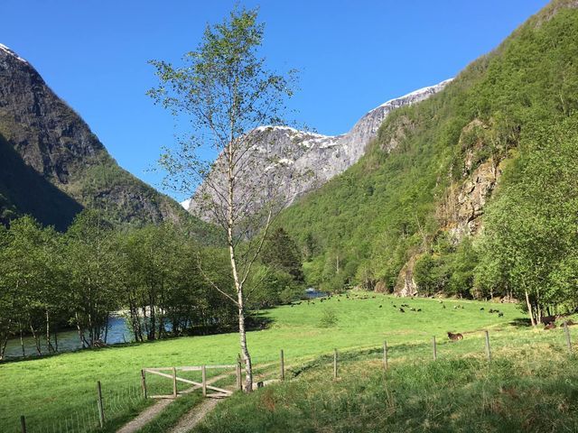 Hemre Gard og Camping