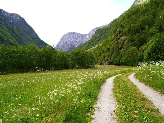 Hemre Gard og Camping photo 5