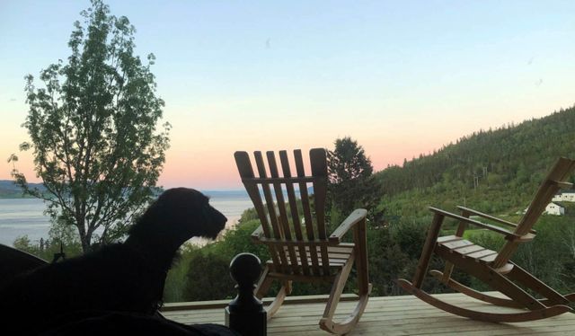 Tenneltunet Måltid og Husly photo 2