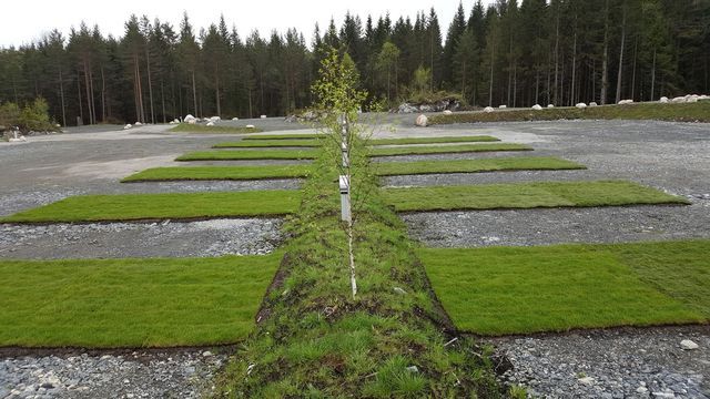 Bjørkeskogen Aktivitetssenter photo 5