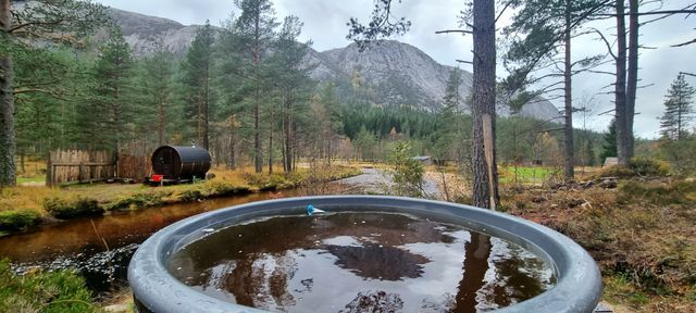 Håvestøl Naturcamp photo 5