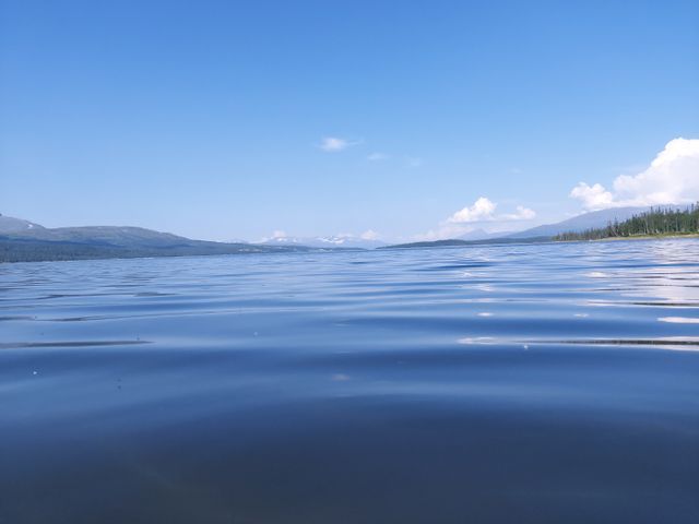 Villmarksgård Camping photo 5