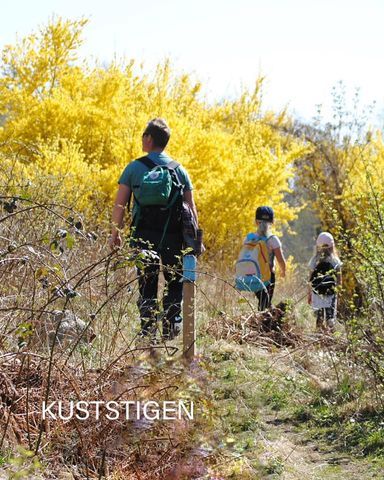 Anfasteröd Gårdsvik photo 5