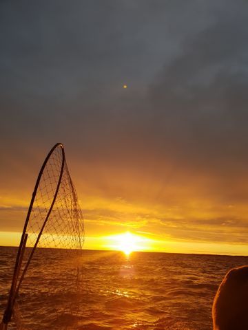 Askevik Camping & Stugor photo 4