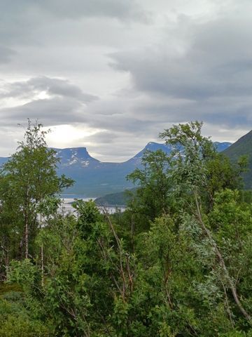 Björklidens Camping photo 2
