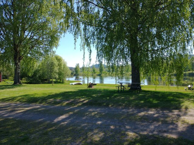 Byns Camping photo 2