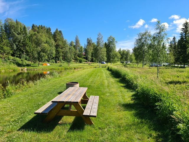 Camp Dammån photo 4