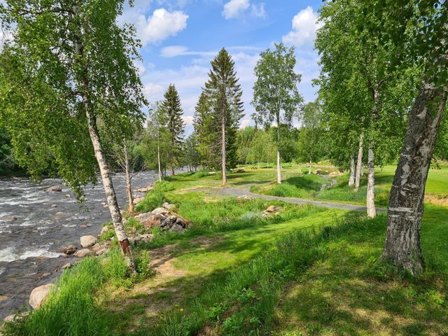 Camp Dammån photo 5