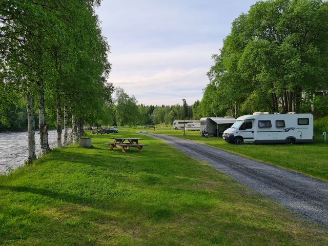 Camp Dammån photo 2