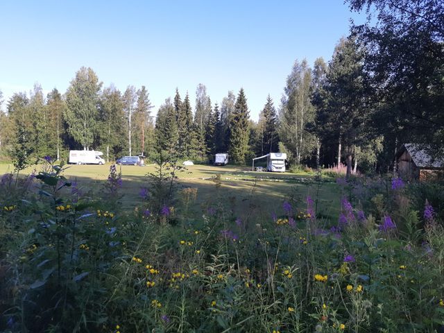 Camp Ängra photo 2