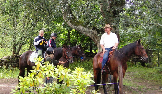 Djupadals Camping & Cottages photo 2