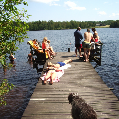 Djupadals Camping & Cottages photo 4