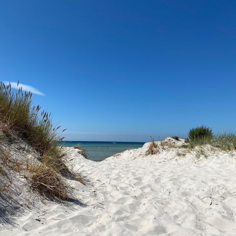 Falsterbo Camping & Resort photo 5