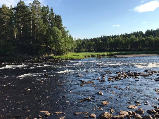 Fångåmons Fiskecamp photo 5