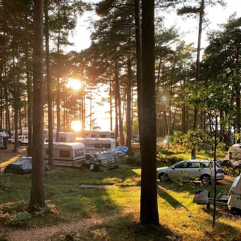 Garviks Camping photo 4