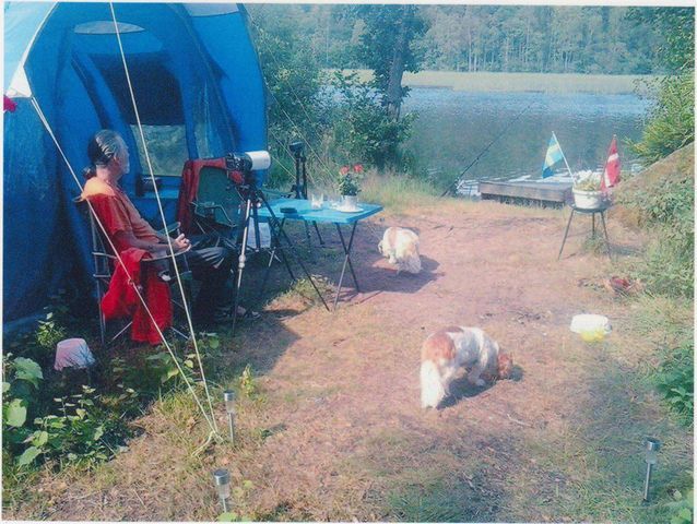 Hallsjö Vildmarkscamping photo 3