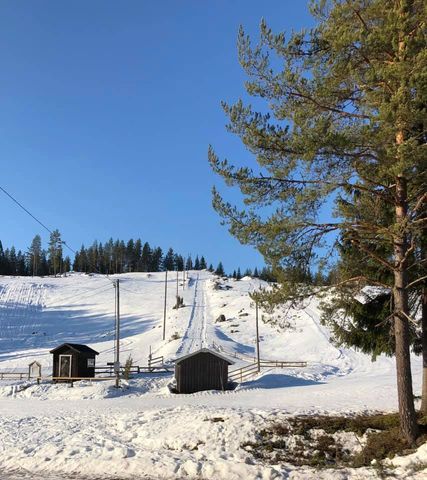 Lindesnäs Camping photo 4