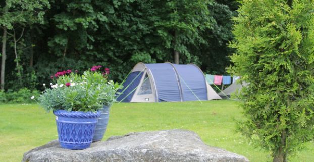 Malmköpings Bad & Camping photo 5