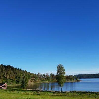 Måvikens Camping & Naturområde photo 2