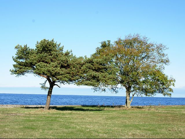 Sandviks Camping - Photo 2