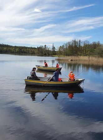 Skotteksgården Camping & Stugby photo 3