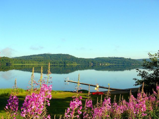 Skotteksgården Camping & Stugby photo 2