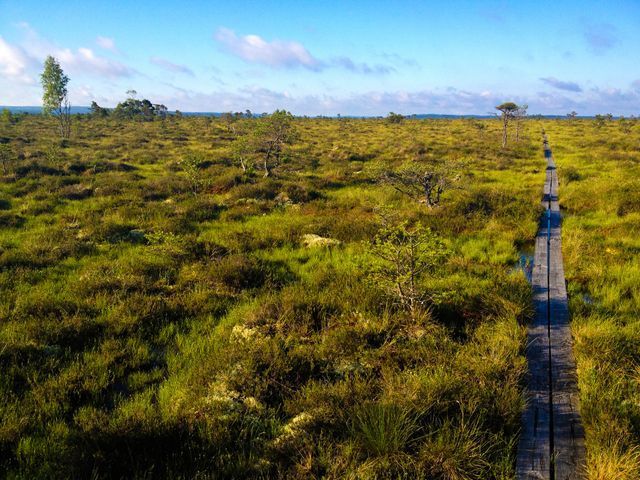 Store Mosse Nationalpark photo 4