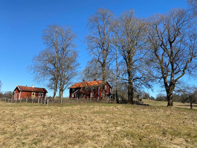 Store Mosse Nationalpark photo 5