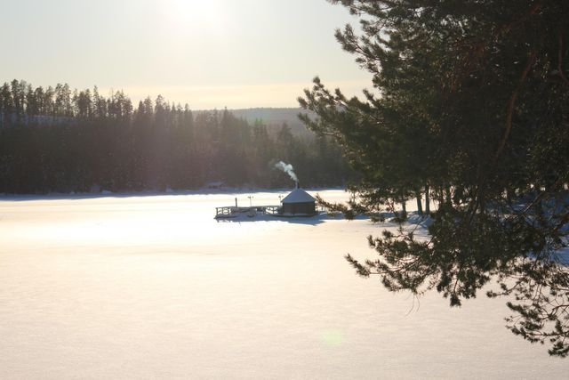 Trehörningsjö camping & stugor photo 5