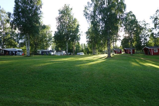 Trehörningsjö camping & stugor photo 3