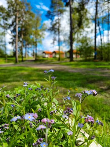 Trollhättans Camping photo 3