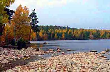 Trönö Camping photo 2