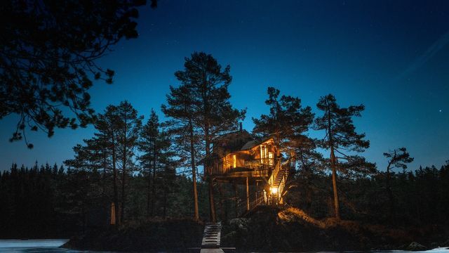 Wild Cabins