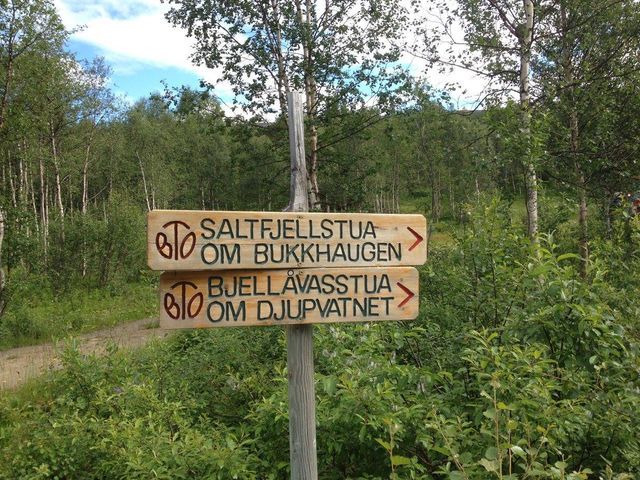 Beiarn turistsenter AS photo 5