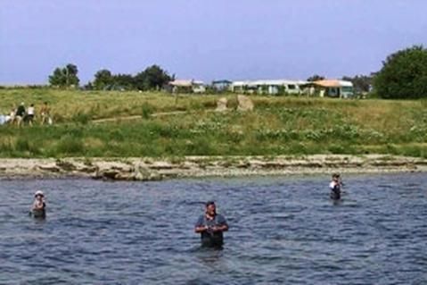 Agersø Camping Aps ved havnen photo 2