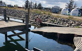 Baagø Camping photo 5