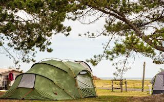 DCU-Flyvesandet Strand Camp photo 4