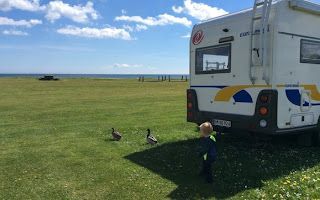Hedebo Strand Camping photo 5