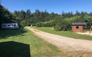 Ølgod Camping photo 2