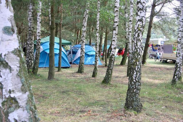 Camp Pälitzsee photo 3
