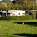 Camping Edertalerhof