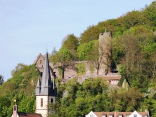 Camping Saaleinsel