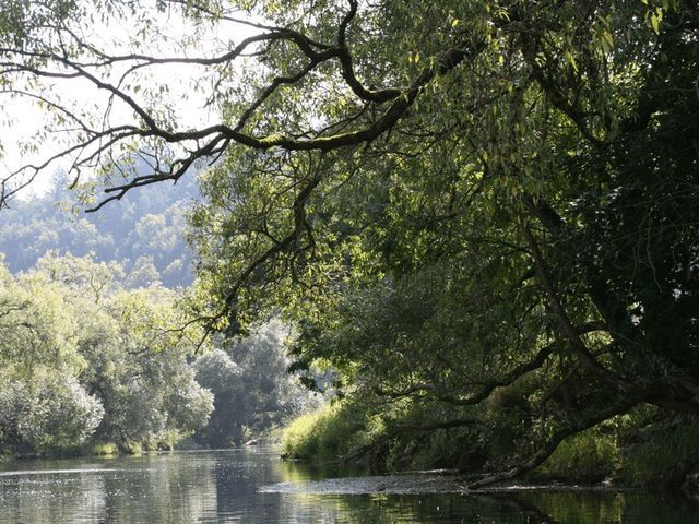 Camping Sigmaringen photo 2