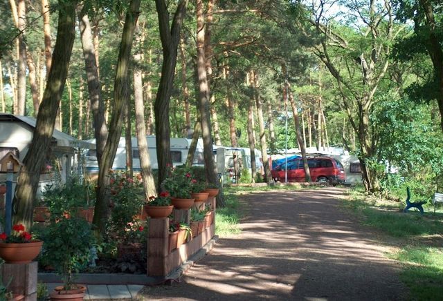 Camping und Ferienpark am Plauer See photo 5