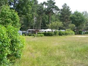 Campingfreunde Gorinsee photo 4