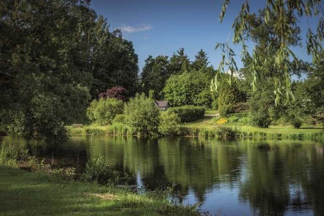 Campingpark Humboldtsee photo 5