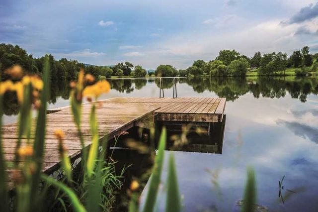 Campingpark Humboldtsee photo 2