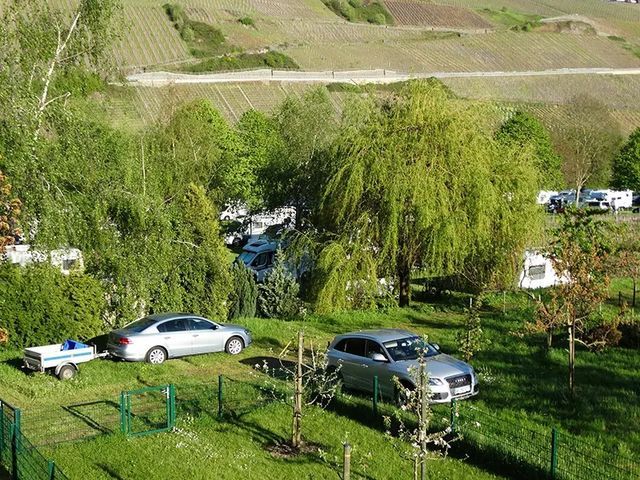 Campingplatz Trittenheim im Grünen photo 3